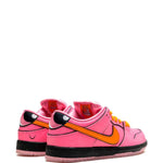 Powerpuff Girls SB Dunk Low "Blossom" Sneakers Nike