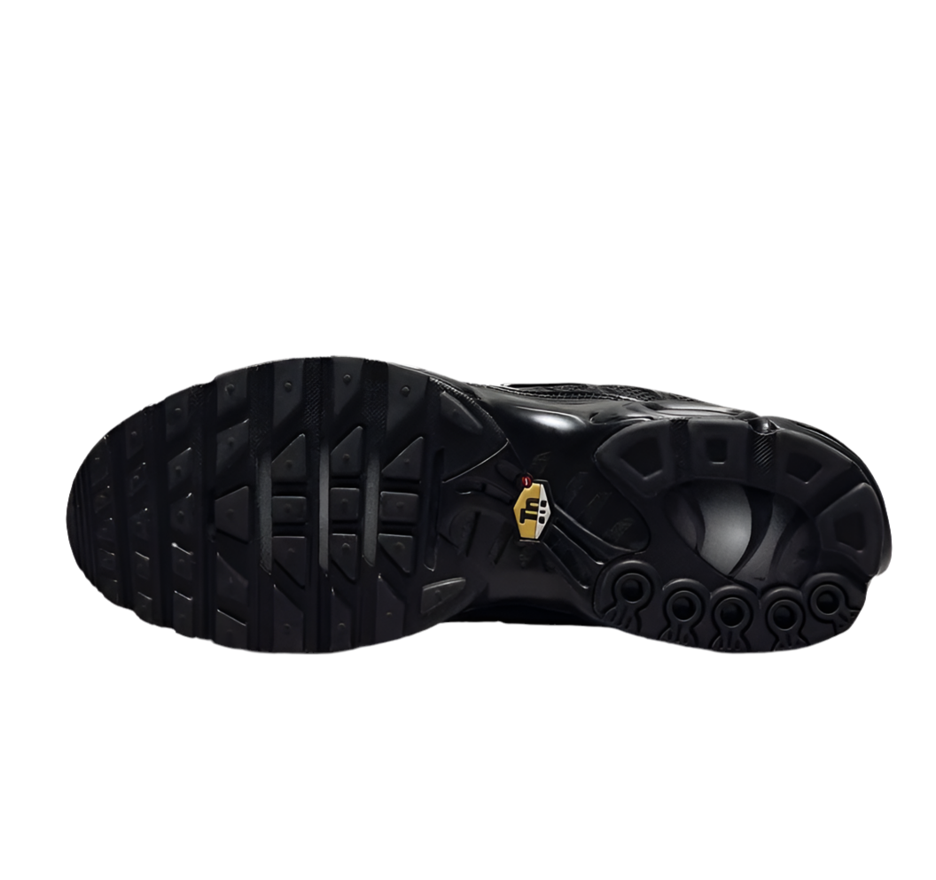 Air Max Plus Black