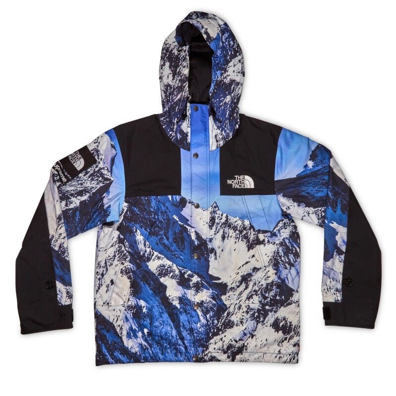 Supreme x The North Face Mountain Parka - Tha Plug ZA